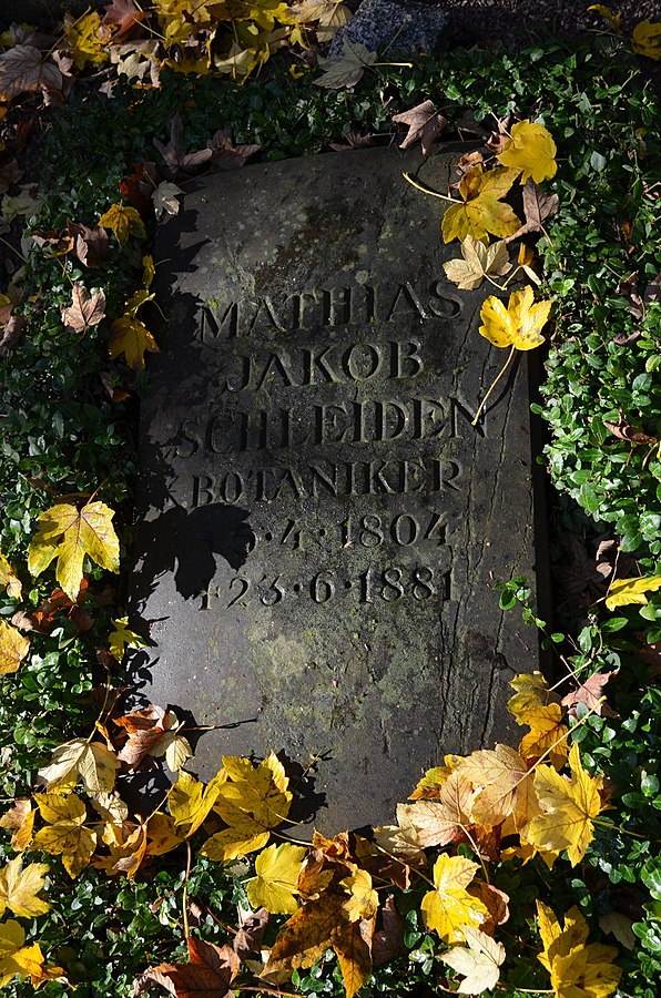 Matthias Jakob Schleiden Grave