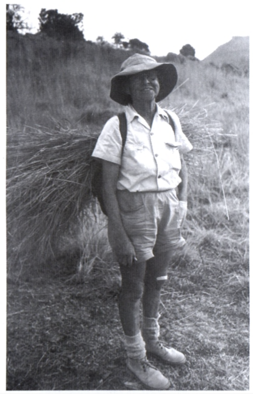 Elsie Esterhuysen in the Drakensberg with a load o f grass bedding for the night in July 1982 (photograph courtesy o f Bolus Herbarium