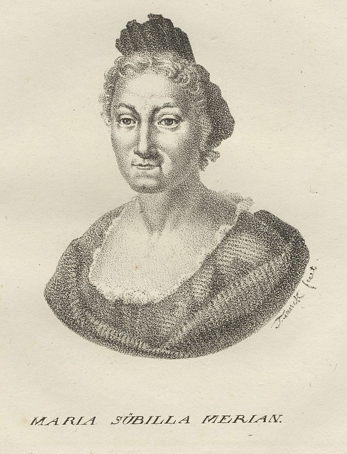 Maria Sibylla Merian from book