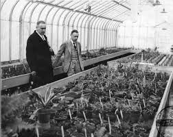Henry Teuscher in Greenhouse