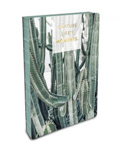 Cactus Journal by Studio Oh!
