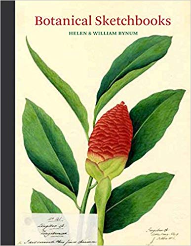 Botanical Sketchbooks by Helen and William Bynum