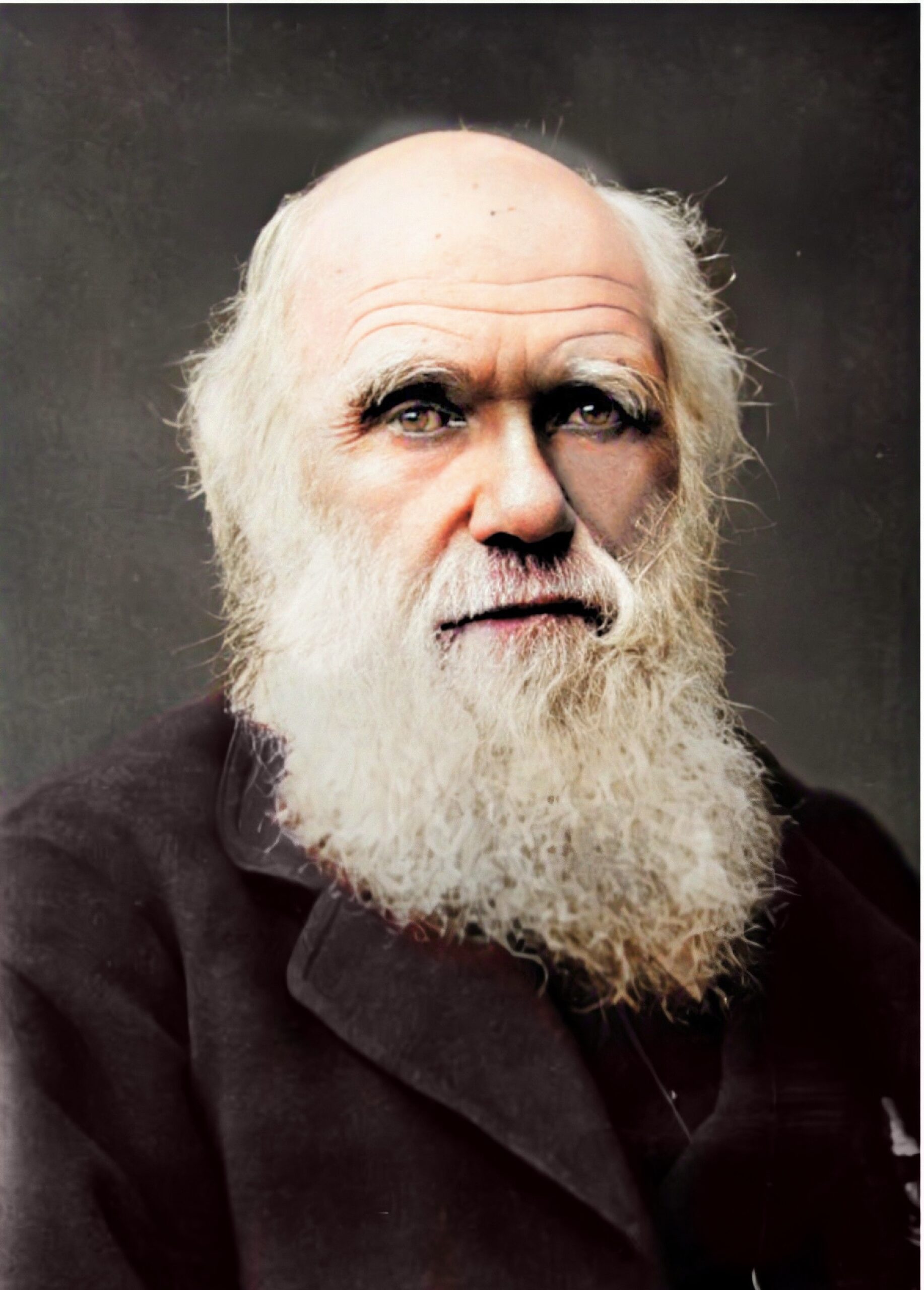 Charles Darwin 1881