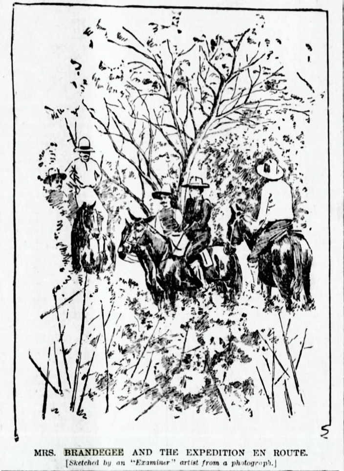 The Brandegees in The San Francisco Examiner 29 Oct 1893
