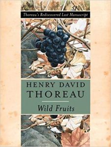 Wild Fruits by Bradley P. Dean