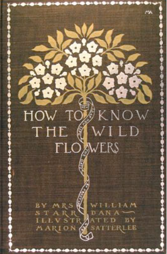 How to Know the Wild Flowers Brown Cover