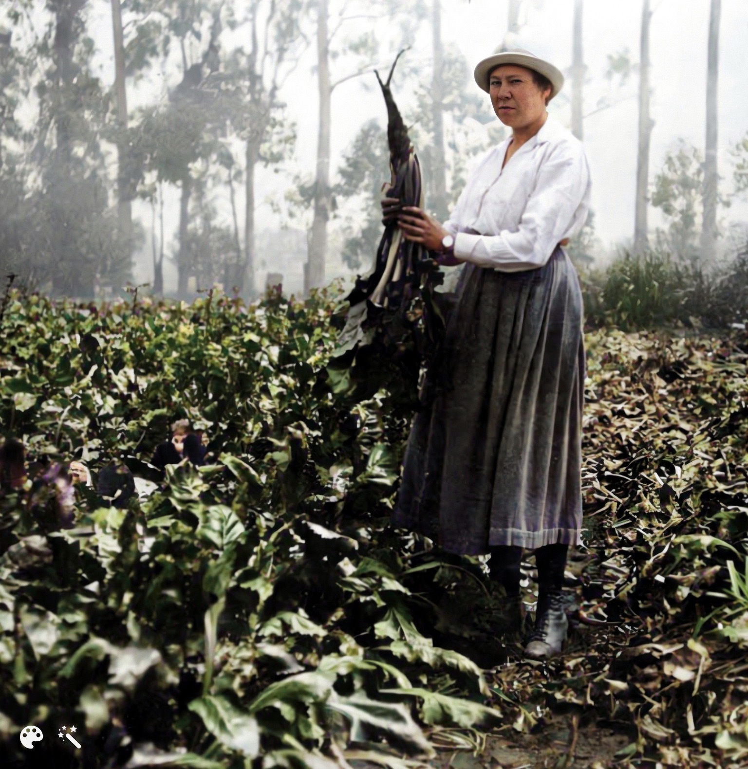 Katherine Esau standing in an Oxnard sugar beet field 1923