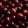 Cranberries Closeup