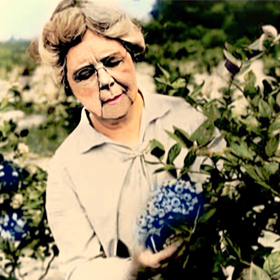 Elizabeth Coleman White inspects her blueberries