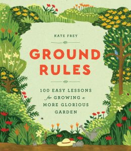 Ground Rules by Kate Frey
