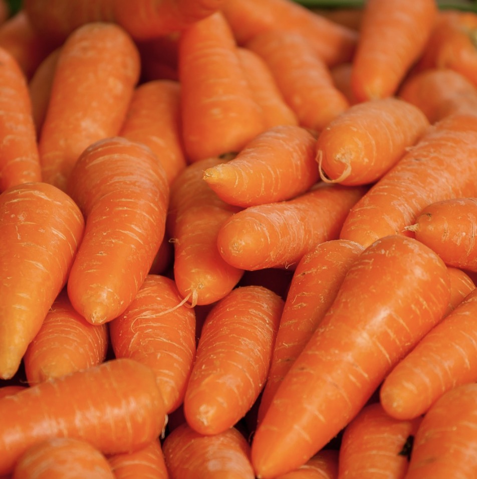 Carrots Closeup