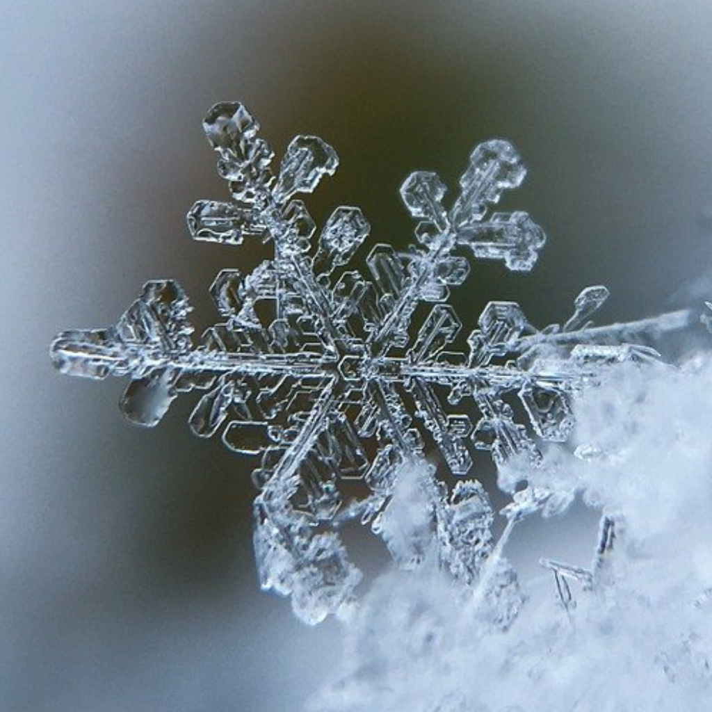To Appreciate the Beauty of a Snowflake