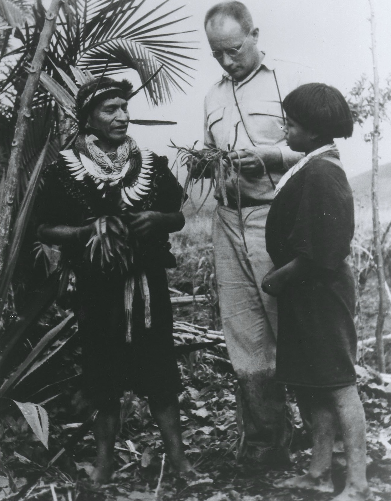 Richard Evans Schultes in the Amazon, 1940s