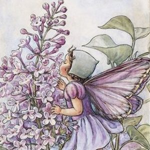 The Lilac Fairy