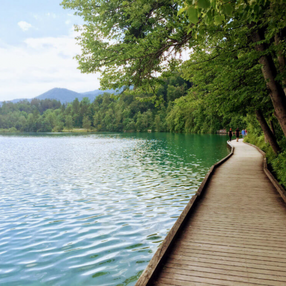 A Walk Around the Lake