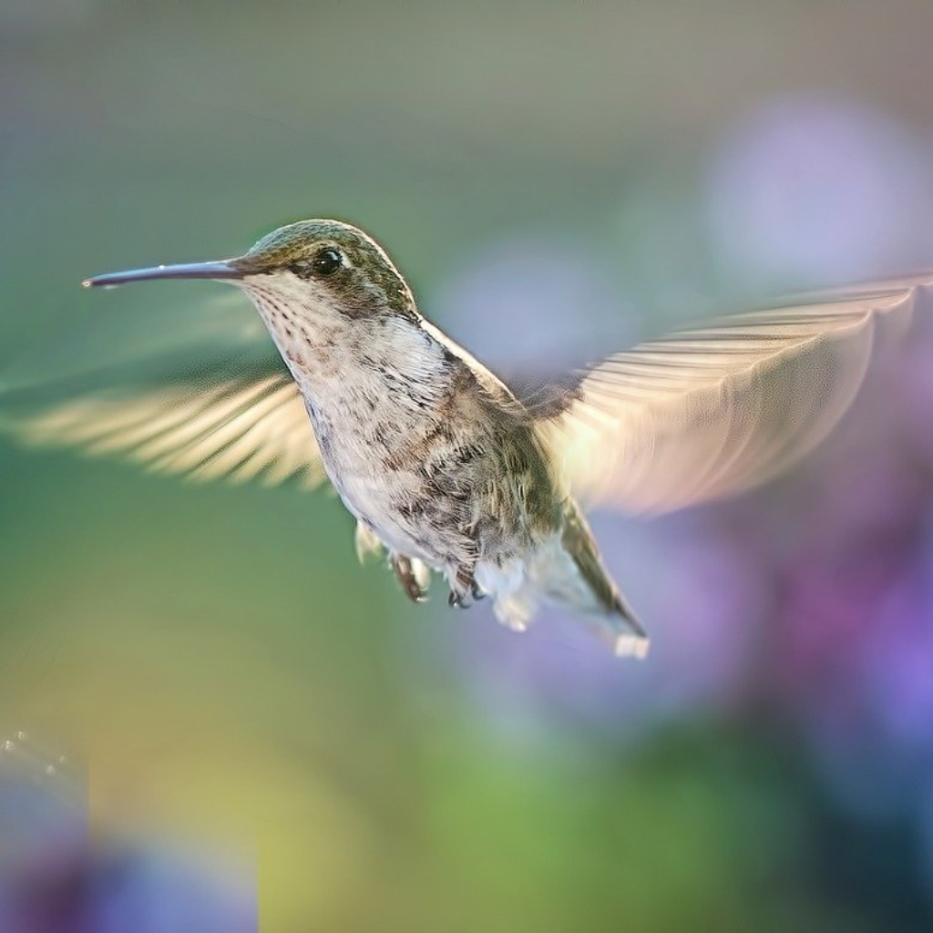 A Hummingbird is a Feathered Prism