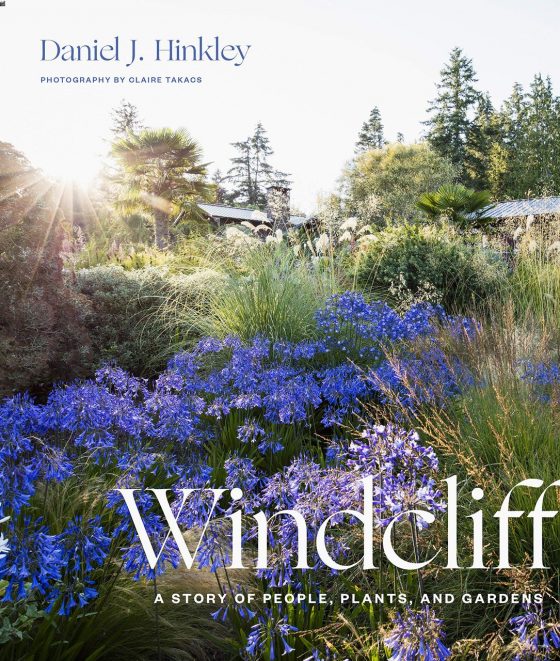 Windcliff by Daniel J. Hinkley