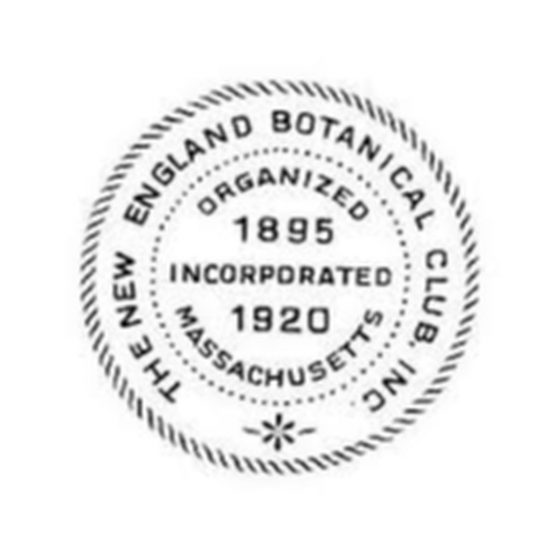 New England Botanical Club