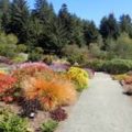 The Humboldt Botanical Garden
