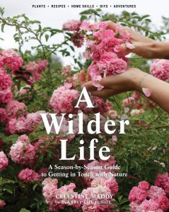 A Wilder Life by Celestine Maddy and Abbye Churchill
