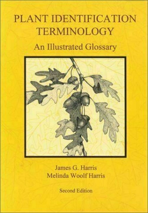 Plant Identification Terminology by James G. Harrison