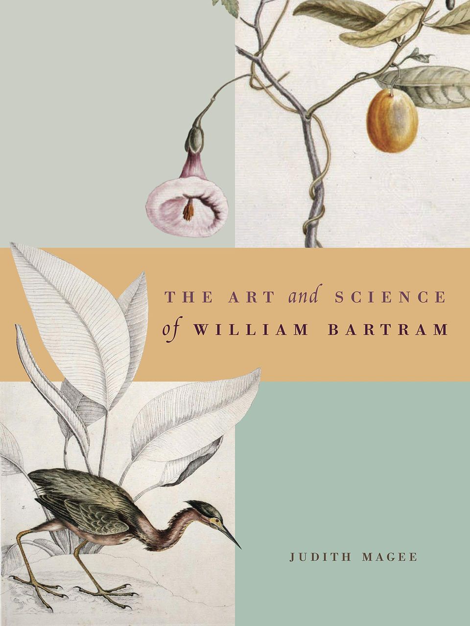 The Art and Science of William Bartram by Judith Magee