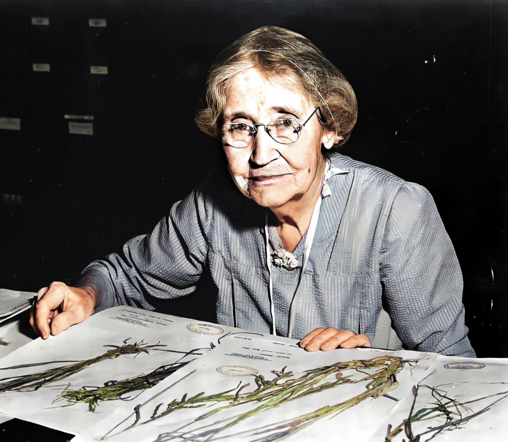 Agnes Chase with specimens