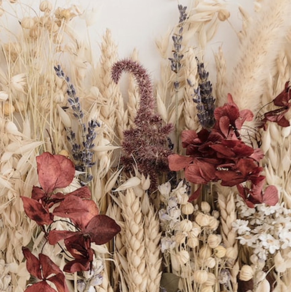 Dried Flowers | Everlastings