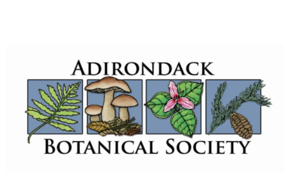The Adirondack Botanical Society