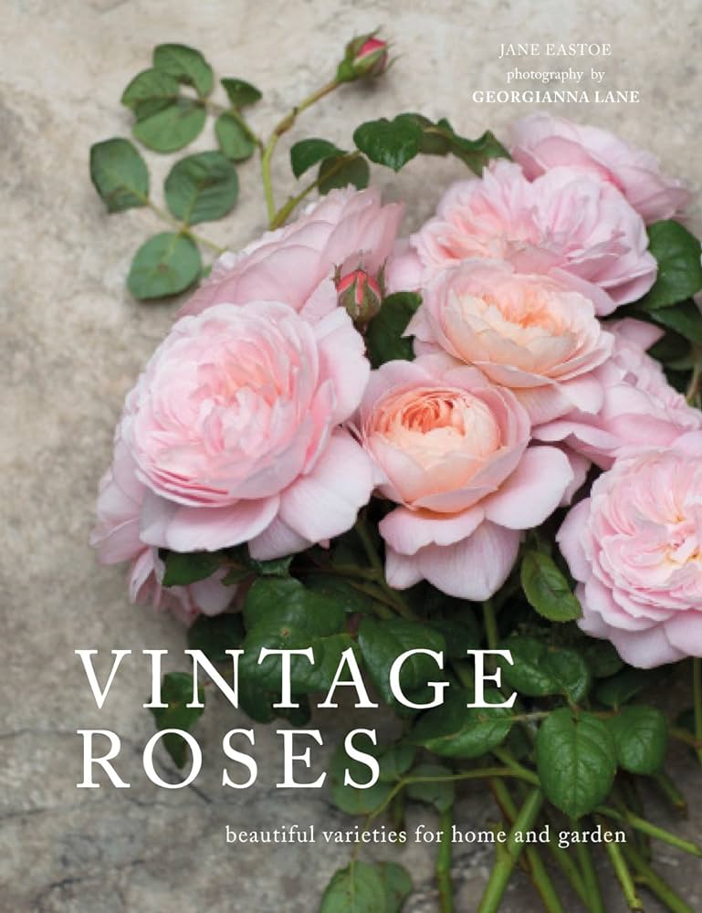 Vintage Roses by Jane Eastoe